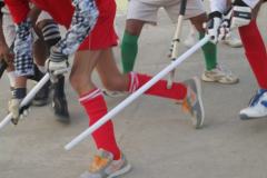 Sports-Activity-Blind-9