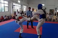 During-Taekwondo-festival-2021.