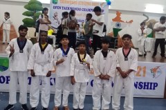 During-Taekwondo-festival-2021